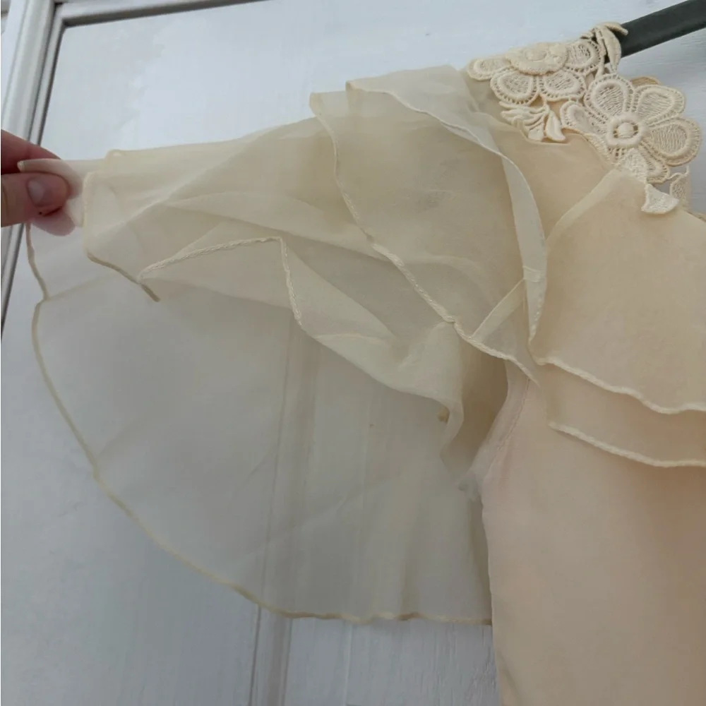Vintage 1970s Prairie Wedding Gown – Organza Ruffles, Daisy Floral Appliqué - Picture 11 of 15